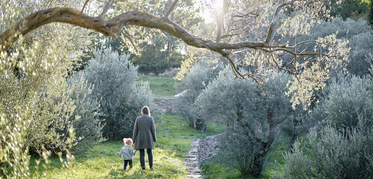 Routes of the Olive Tree and Mediterranean Culture